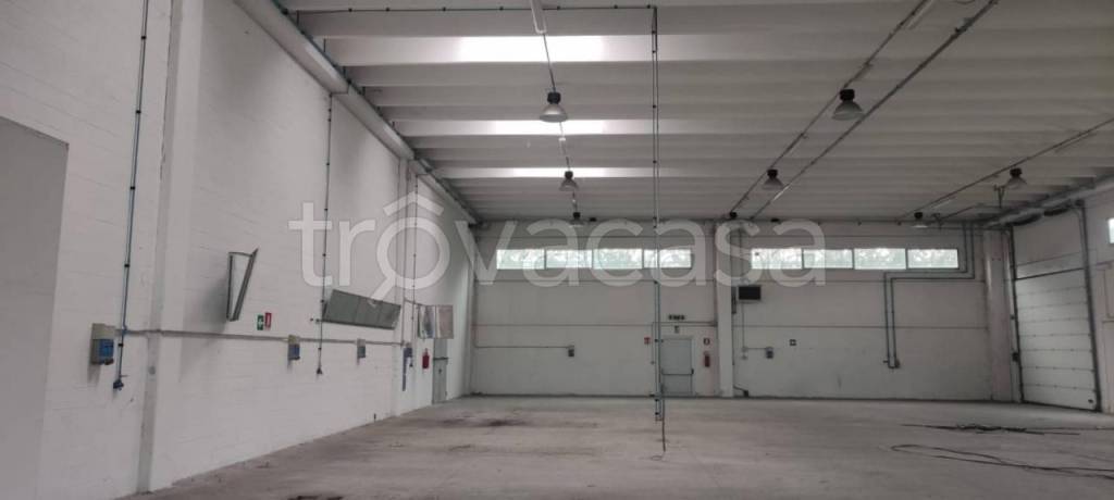 immagine annuncio 6 di 8