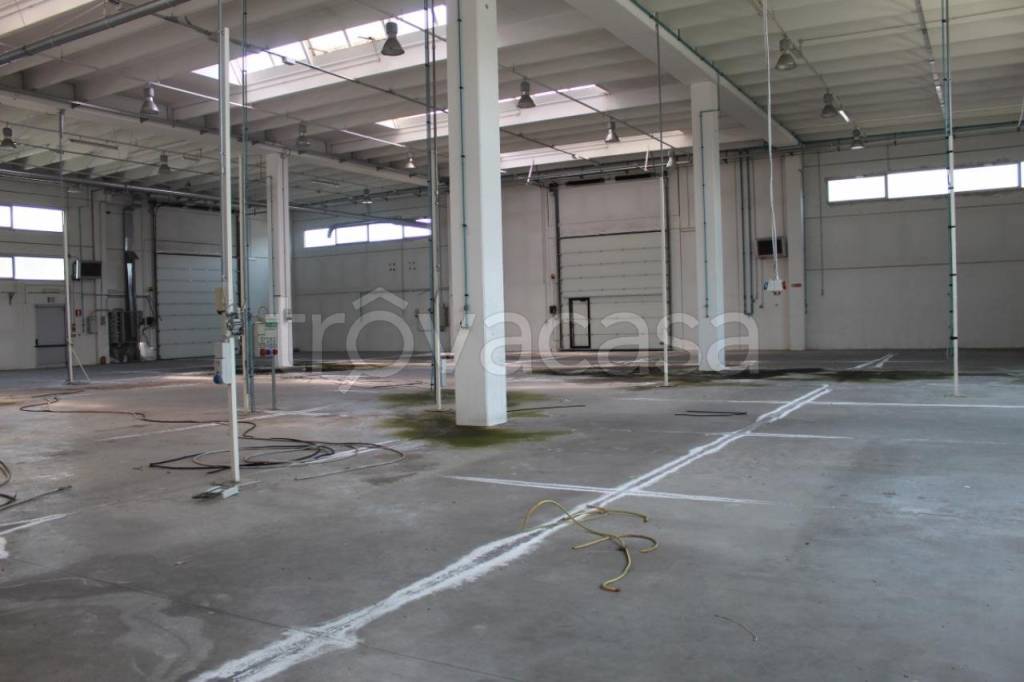 immagine annuncio 5 di 7