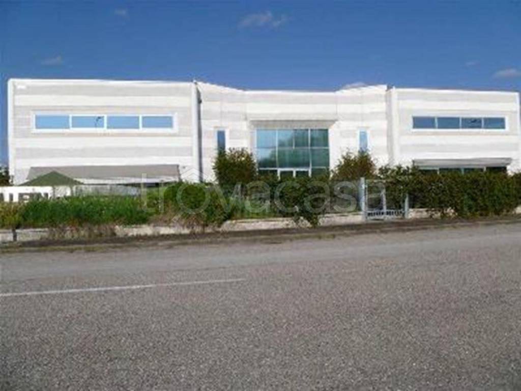 immagine annuncio 7 di 8