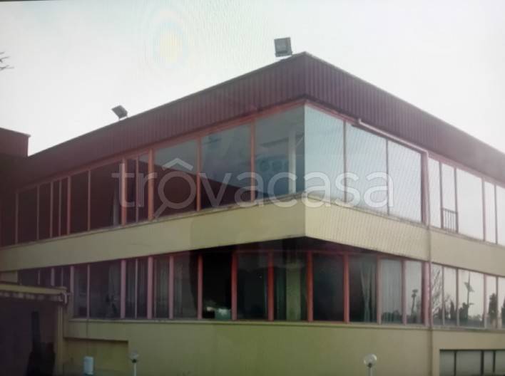 immagine annuncio 4 di 9