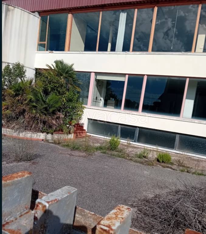 immagine annuncio 5 di 9