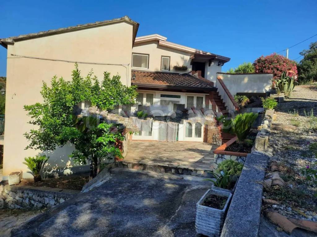 immagine annuncio 6 di 11