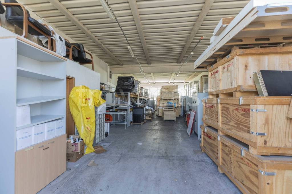 immagine annuncio 4 di 15