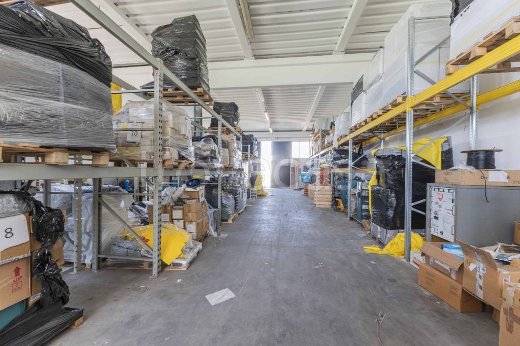 immagine annuncio 6 di 15