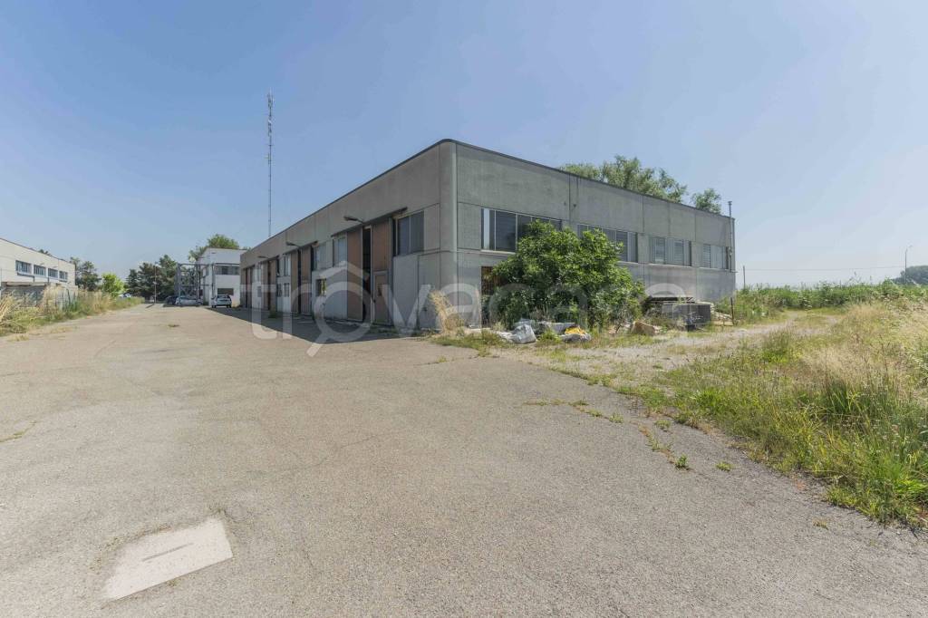 immagine annuncio 7 di 15