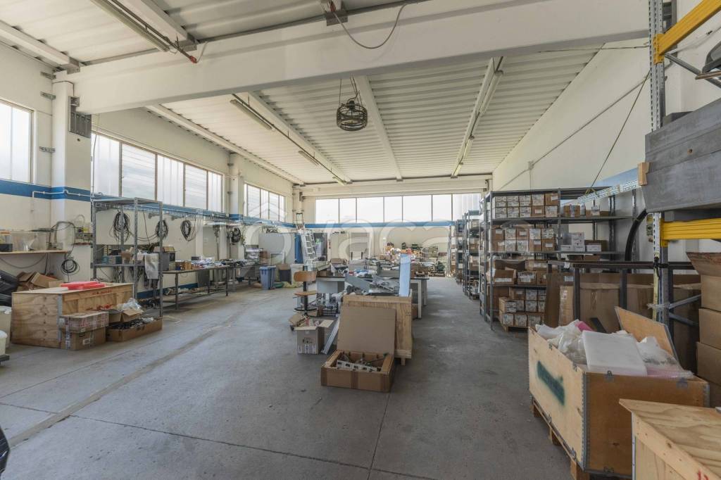 immagine annuncio 11 di 15