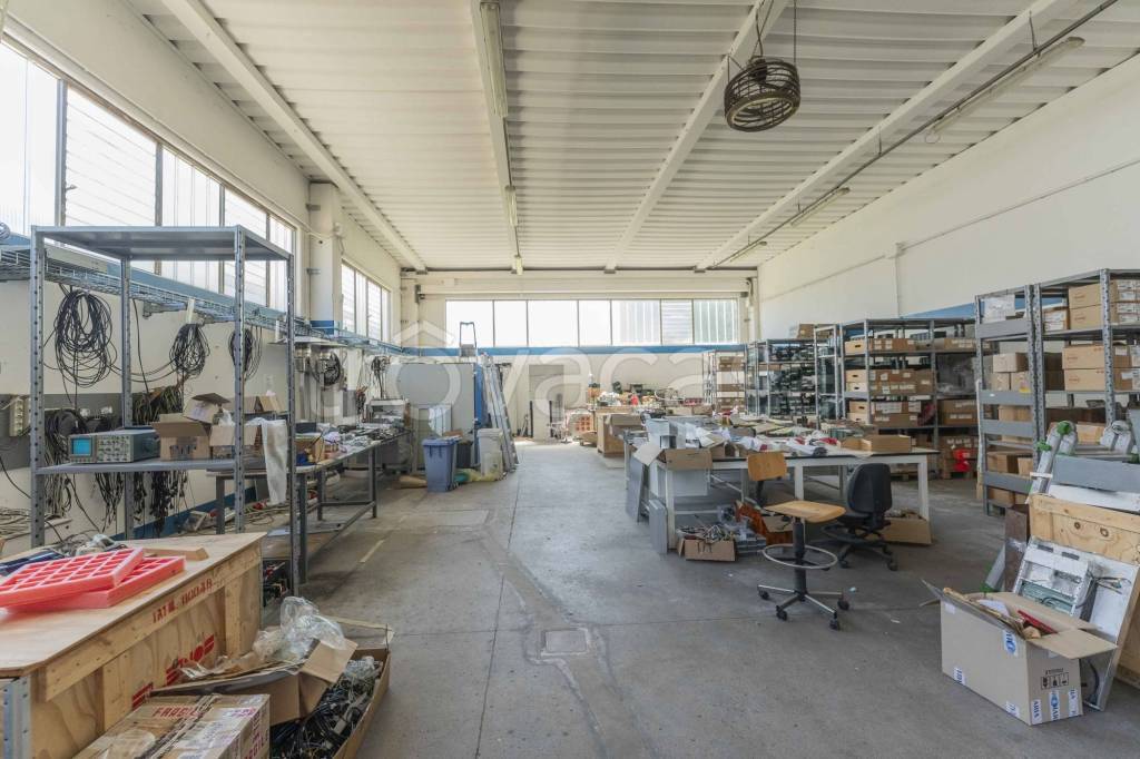 immagine annuncio 12 di 15