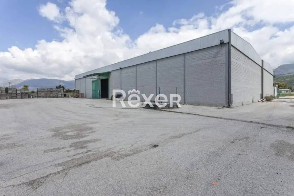 immagine annuncio 2 di 14