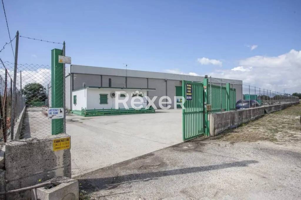 immagine annuncio 3 di 14