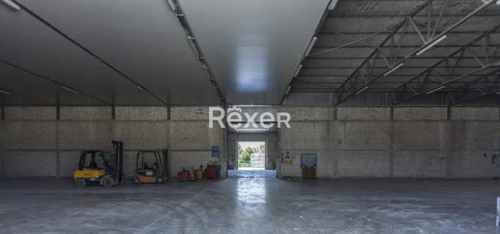 immagine annuncio 5 di 14