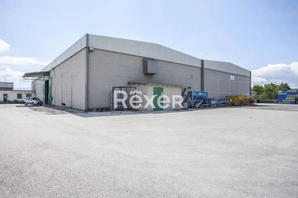 immagine annuncio 6 di 14