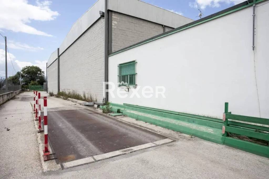 immagine annuncio 9 di 14