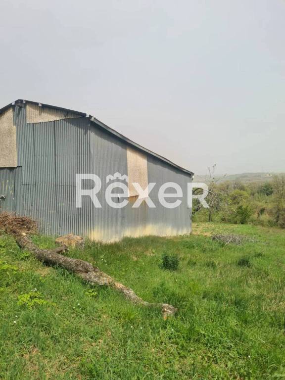 immagine annuncio 10 di 11