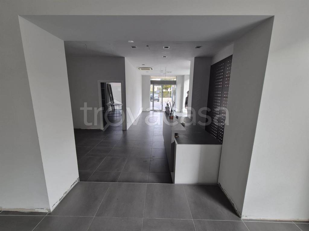 immagine annuncio 9 di 14