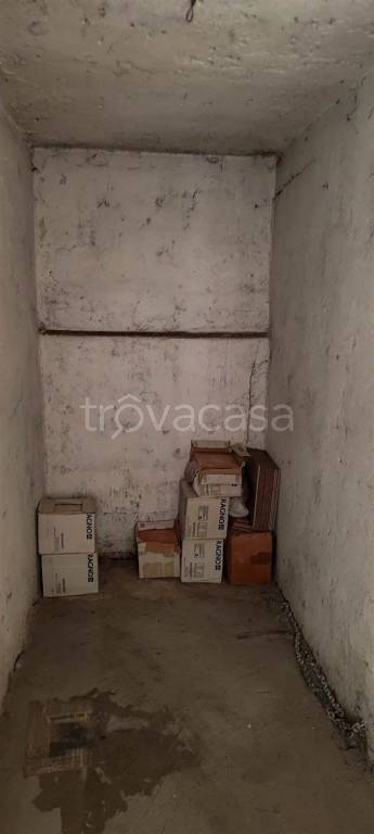 immagine annuncio 12 di 14