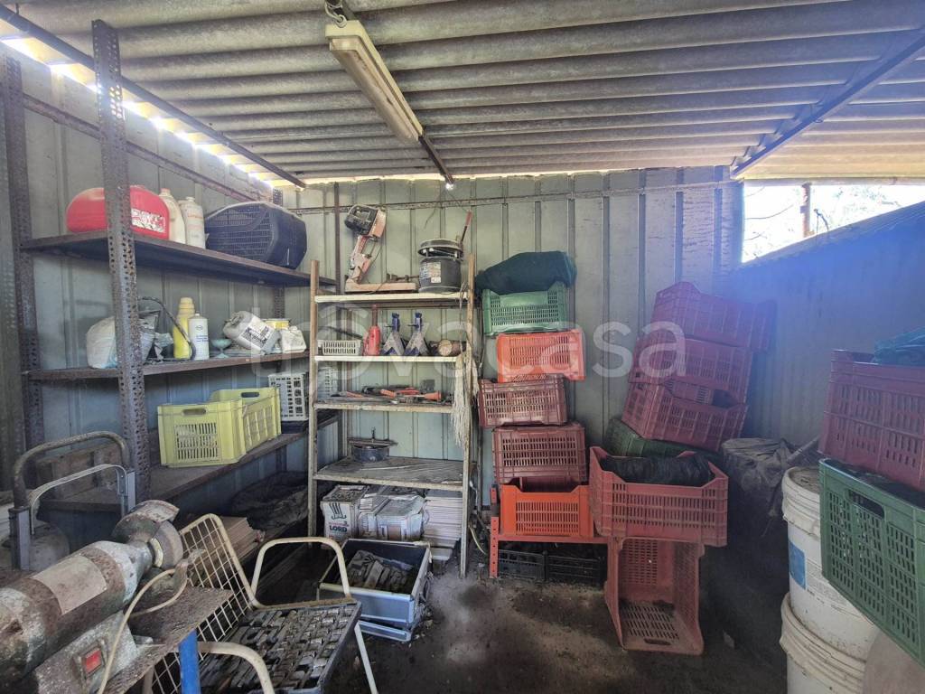 immagine annuncio 14 di 15