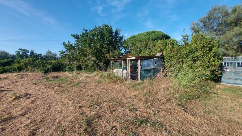 immagine annuncio 2 di 11