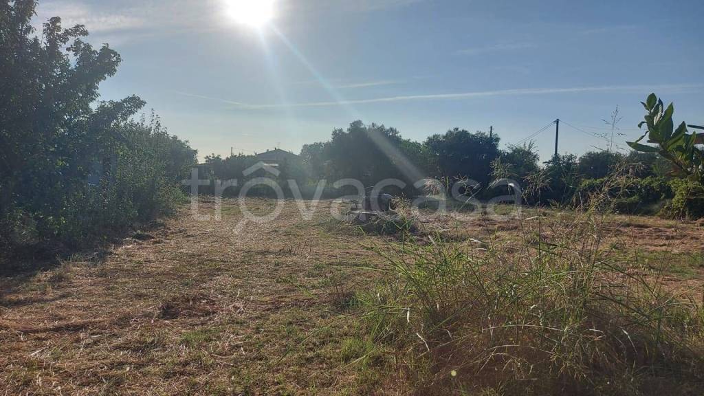 immagine annuncio 4 di 11