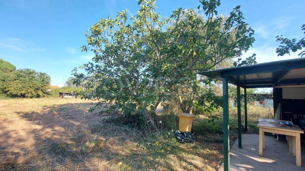 immagine annuncio 5 di 11