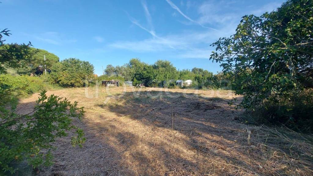 immagine annuncio 8 di 11