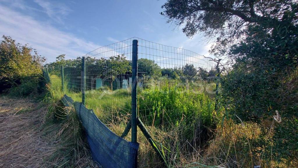 immagine annuncio 10 di 11