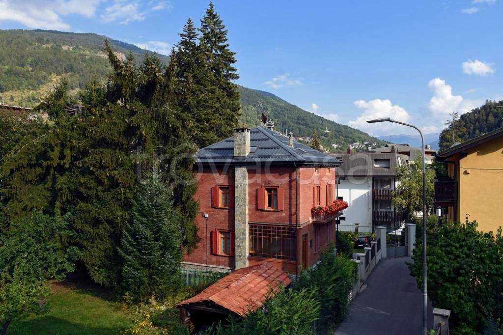 immagine annuncio 1 di 14