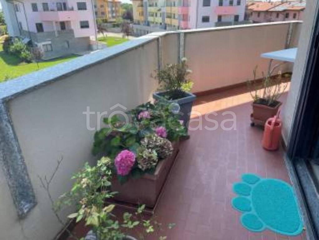 immagine annuncio 9 di 15