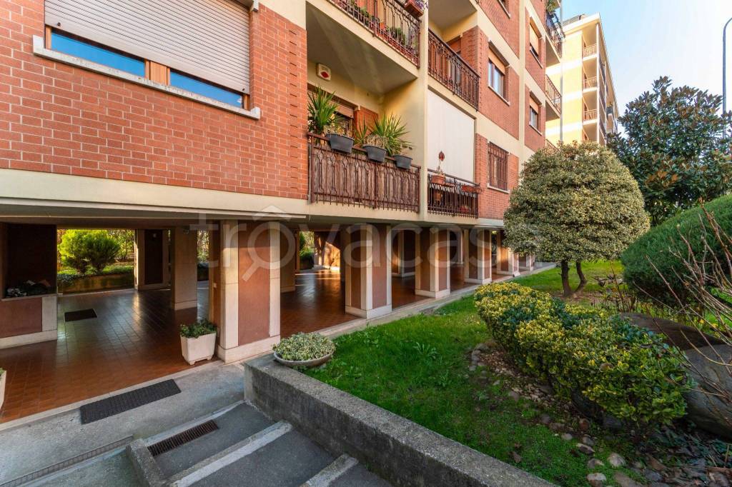 immagine annuncio 1 di 15