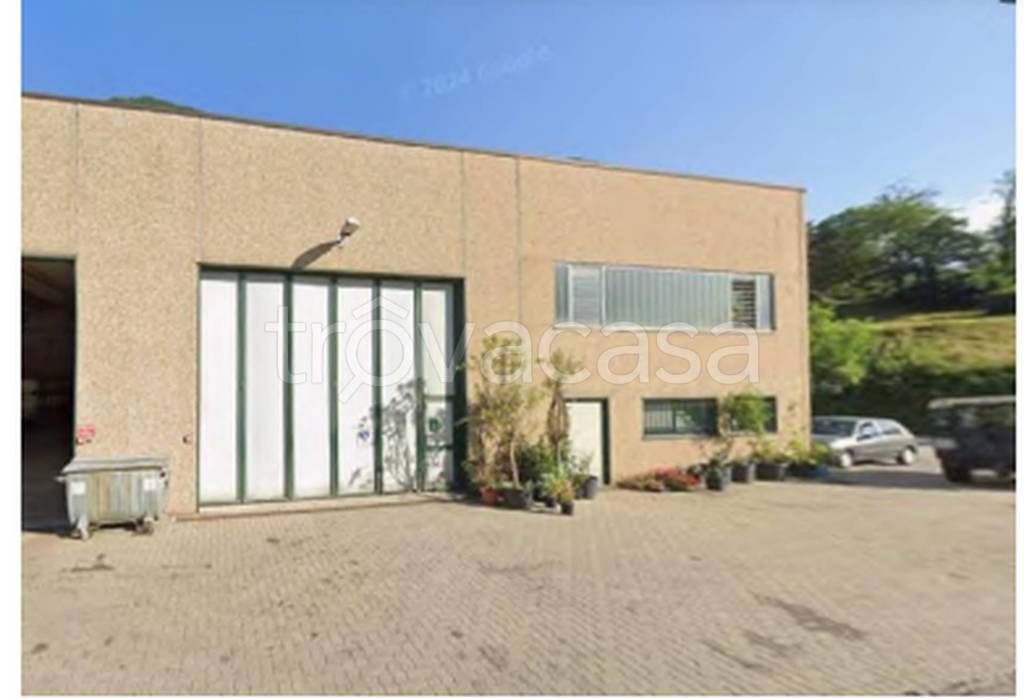 immagine annuncio 2 di 11