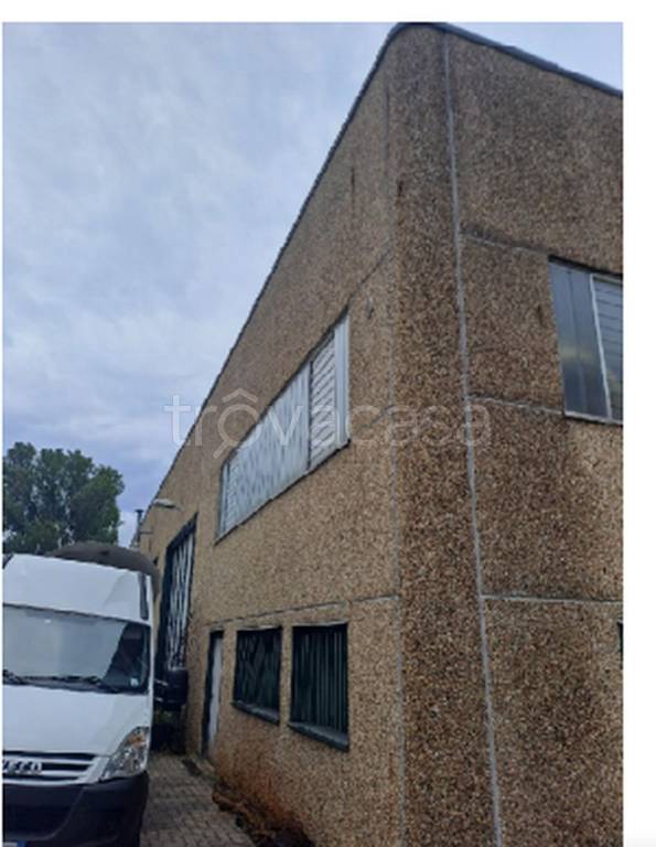 immagine annuncio 5 di 11