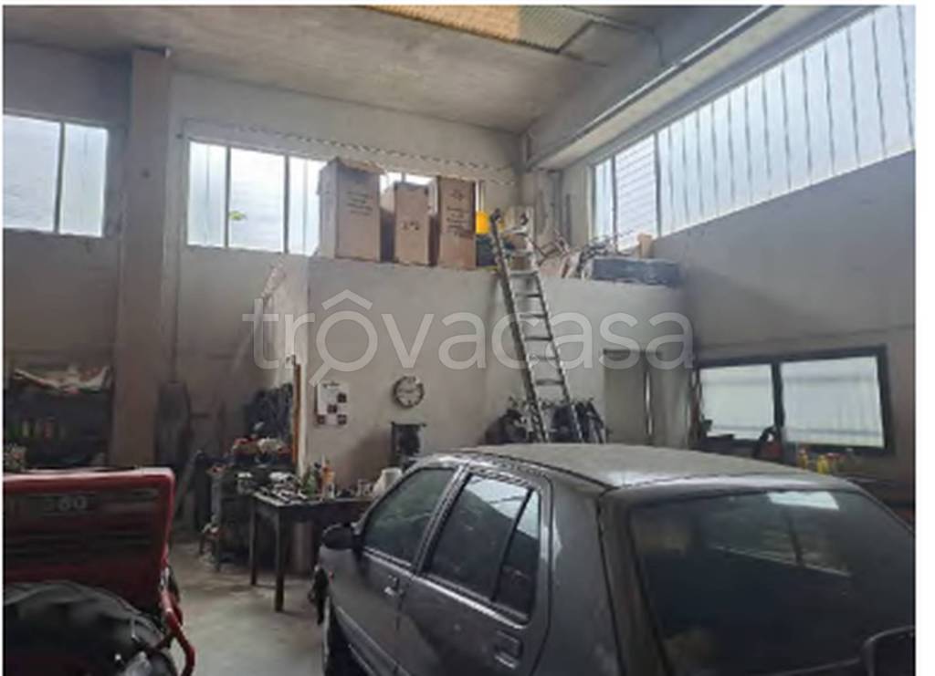 immagine annuncio 6 di 11