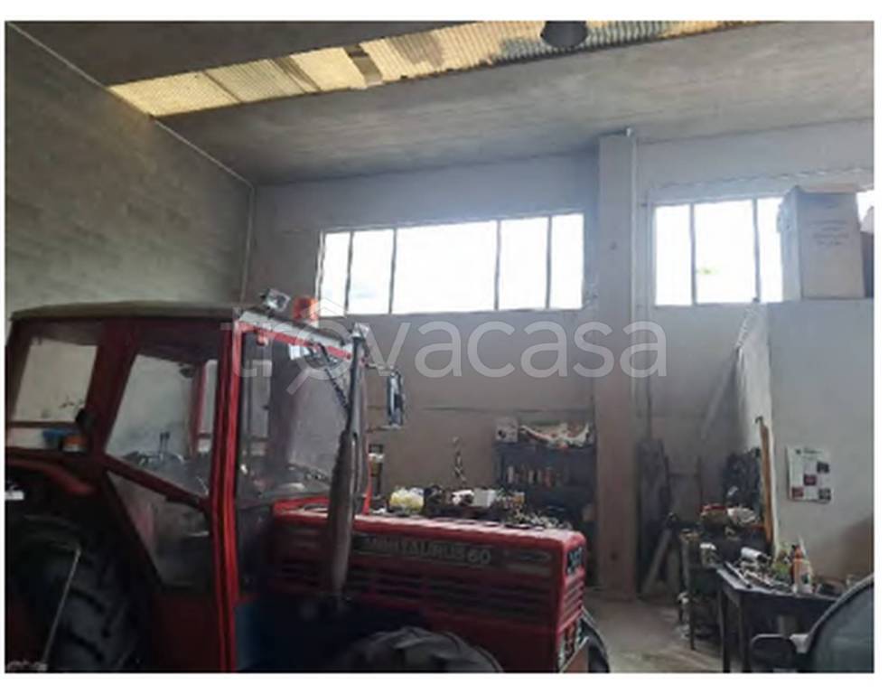 immagine annuncio 7 di 11