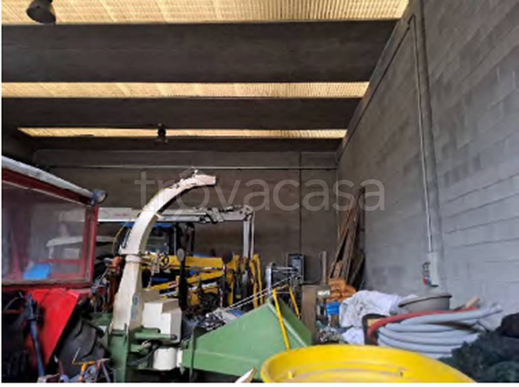 immagine annuncio 9 di 11