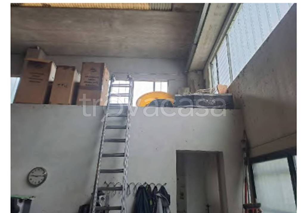 immagine annuncio 8 di 11