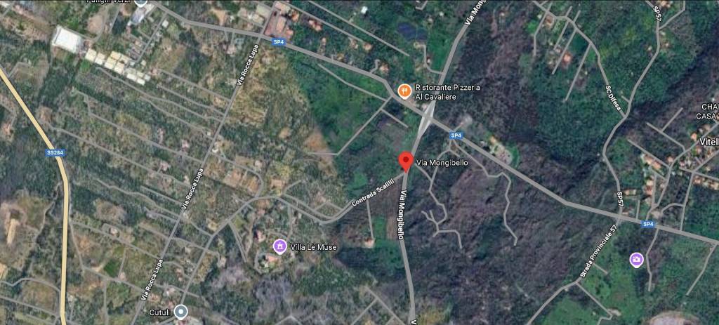 immagine annuncio 11 di 13