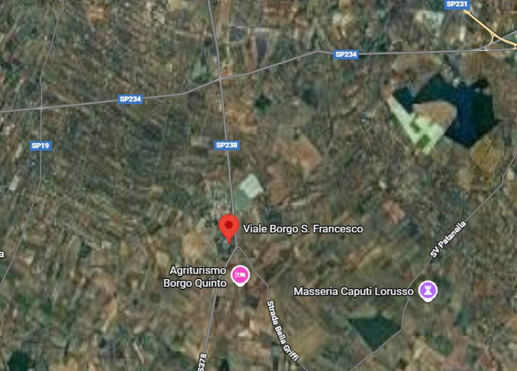 immagine annuncio 14 di 15