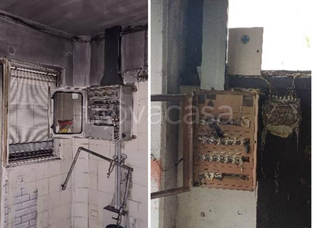 immagine annuncio 3 di 13