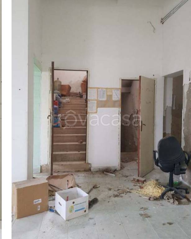 immagine annuncio 3 di 11