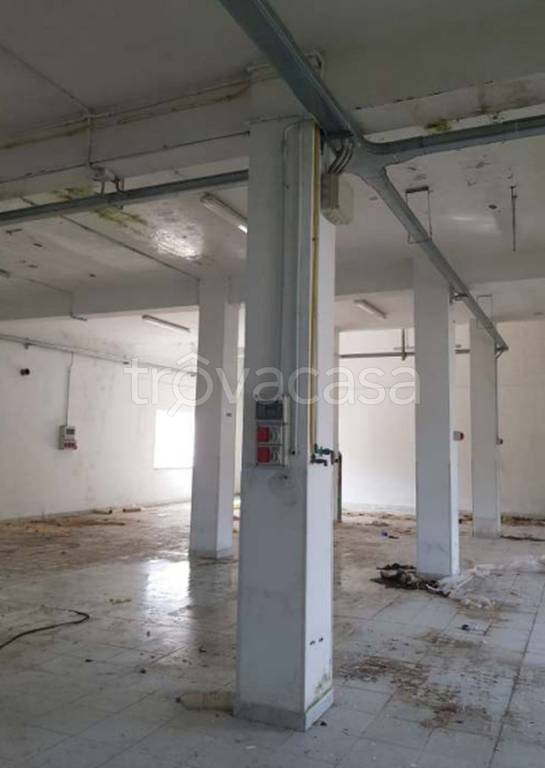 immagine annuncio 5 di 11