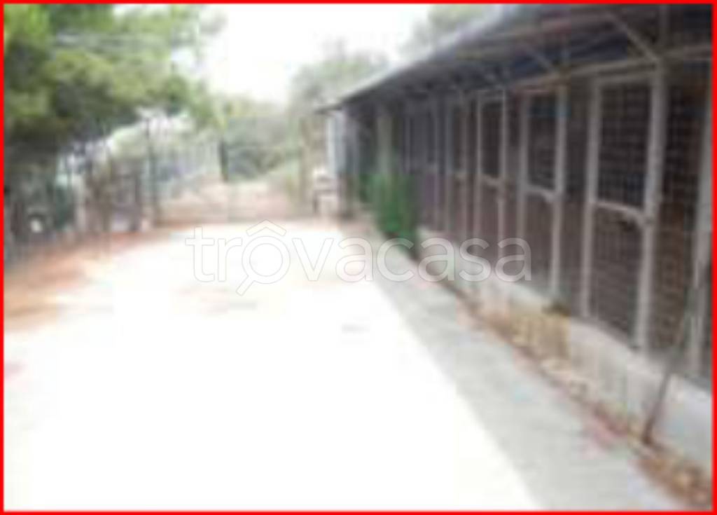 immagine annuncio 4 di 12