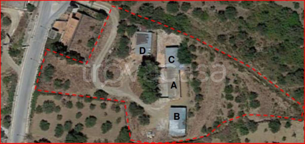 immagine annuncio 11 di 12