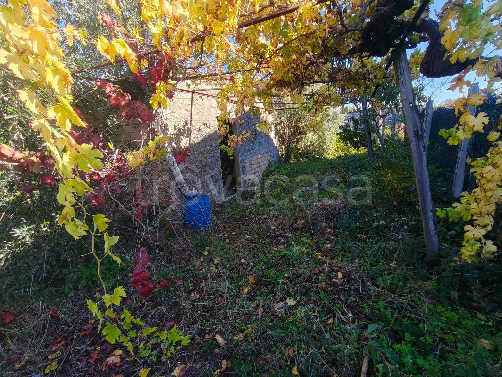 immagine annuncio 1 di 9