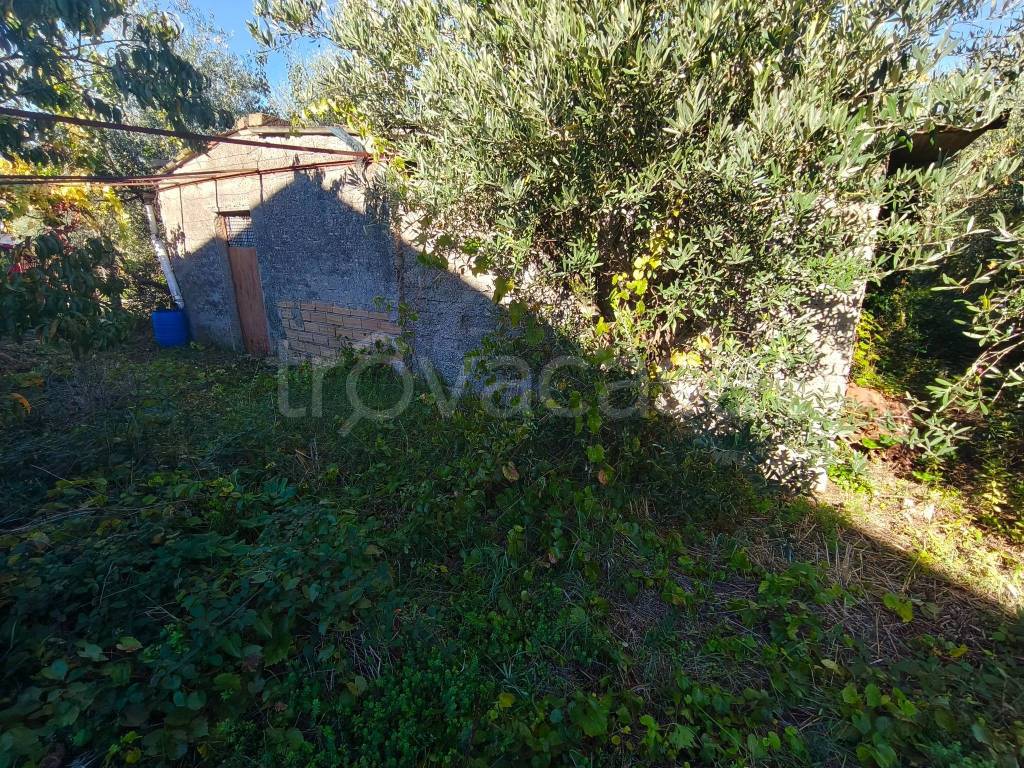 immagine annuncio 2 di 9