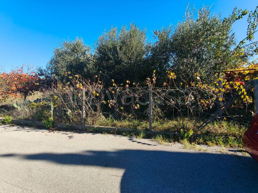 immagine annuncio 3 di 9