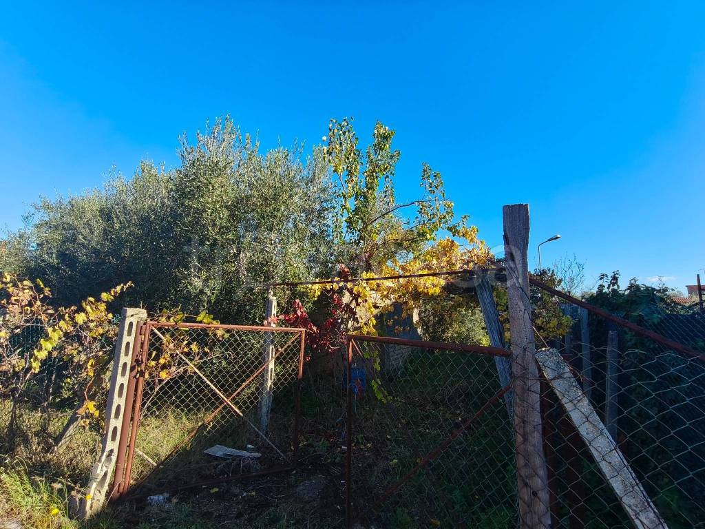 immagine annuncio 4 di 9