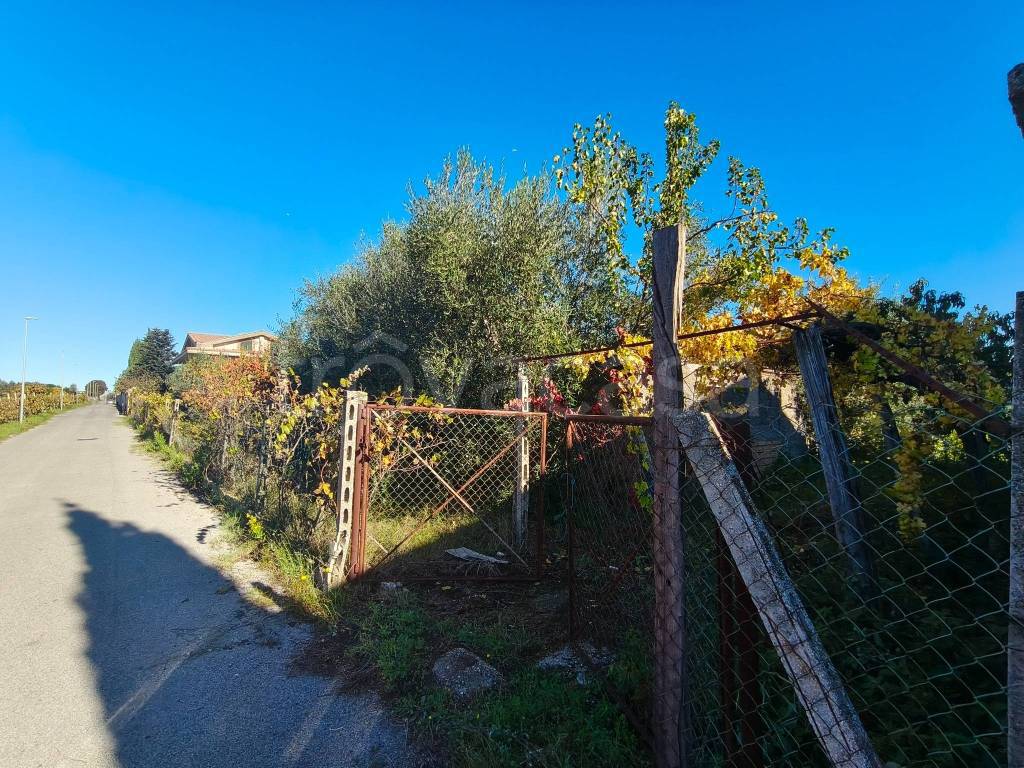 immagine annuncio 5 di 9