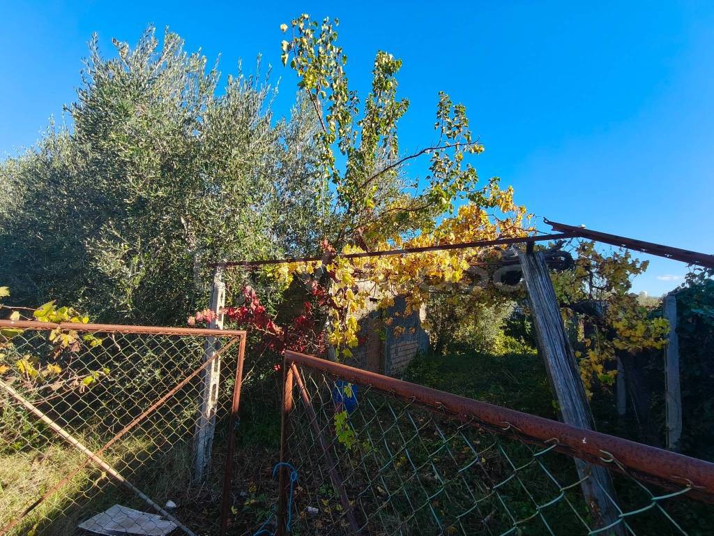 immagine annuncio 6 di 9