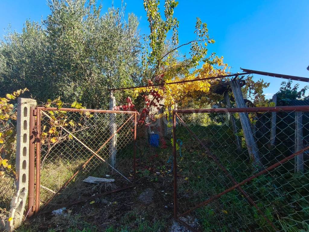 immagine annuncio 7 di 9