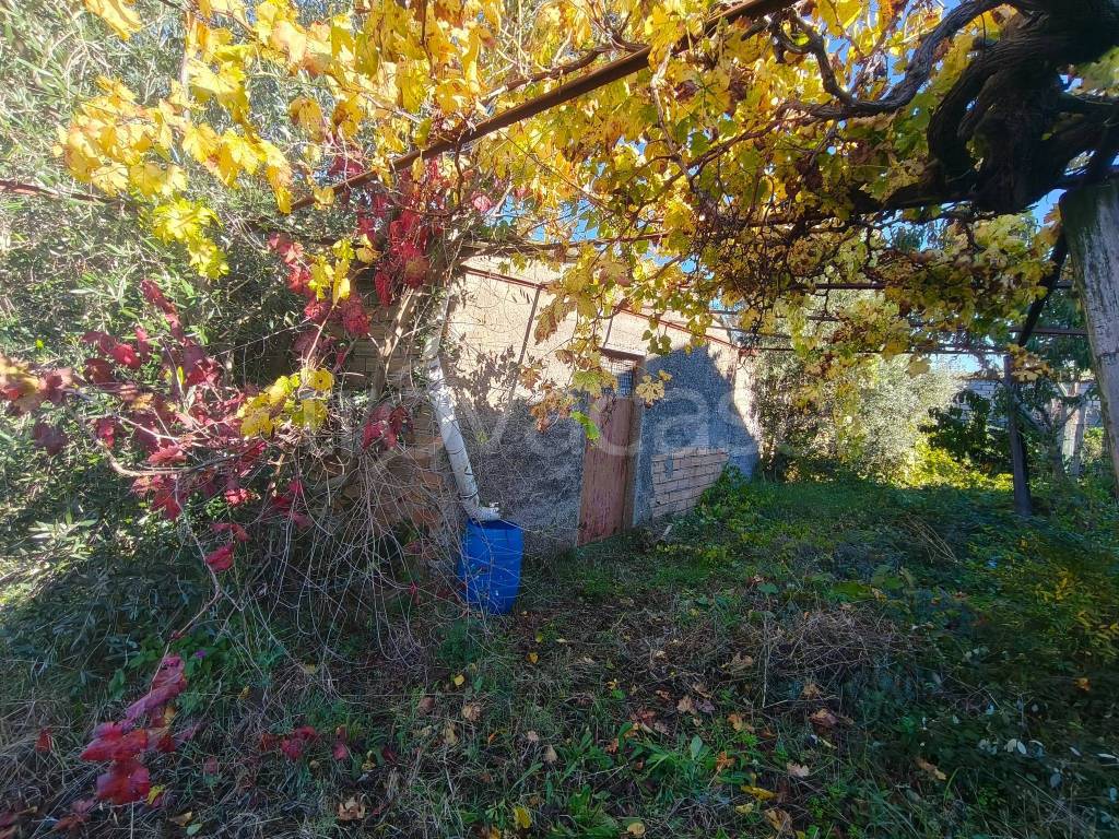 immagine annuncio 8 di 9