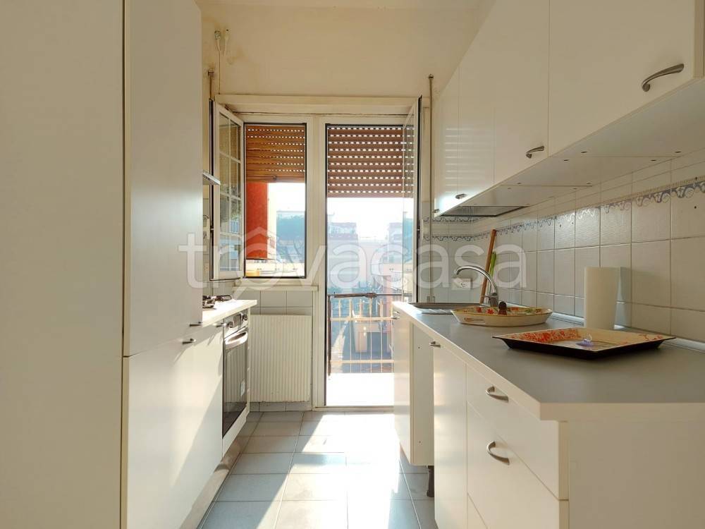 immagine annuncio 1 di 14